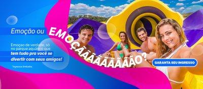 Logo Went'n Wild - Desconto no mês de Março